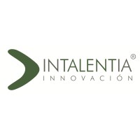 Intalentia Innovación S.L.U logo - Similar company to Mardini Concept | Turkish Carpet Perú 🇵🇪