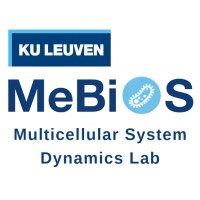 Multicellular System Dynamics Lab logo - Similar company to Synery