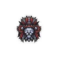 Shaman Company logo - Similar company to Crestmatrix