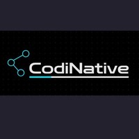 Codinative logo - Similar company to Devora Hub