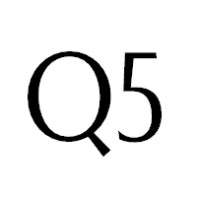 Q5 logo - Similar company to Bay Area Web Development