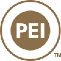 The Professional Education Institute, Inc.