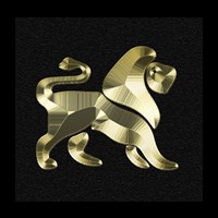 PPP CONSULTANTS logo - Similar company to Dl Consulting