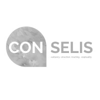 Conselis logo - Similar company to Ermis As