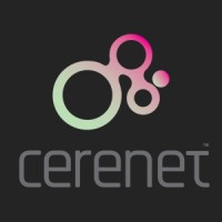 Cerebral Network Technologies logo - Similar company to Cerebral Technologies, Llc