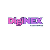 Diginex India logo - Similar company to Zoxotech Company
