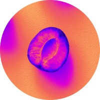 CIRUELA MARKETING logo - Similar company to Meridianum Talent Lab