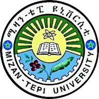 Mizan Tepi University logo - Similar company to Bits College