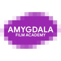 Amygdala Film Academy logo - Similar company to Krisp Eximp Private Limited