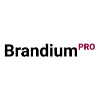 Brandium Pro logo - Similar company to Smartworkers