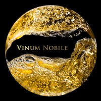 Vinum Nobile logo - Similar company to An Brothers E-Learning Pvt. Ltd