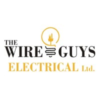 The Wire Guys logo - Similar company to Wired Security
