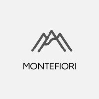 MONTEFIORI SAS logo - Similar company to Blm Group -