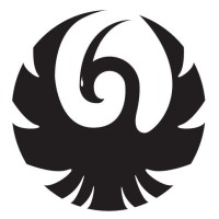 Phenix Direct LLC logo - Similar company to Phenixx Marketing Llc