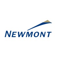 Newmont Overseas Exploration Limited logo - Similar company to Buchans Resources Limited