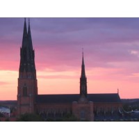 Uppsala Pharmacometrics logo - Similar company to Open Systems Pharmacology Management Team