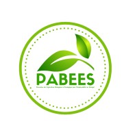 PABEES SENEGAL logo - Similar company to Baromètre Citoyen De La Sécurité (Bcs)