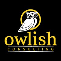 Owlish Consulting logo - Similar company to Meyer Drapery Services Inc