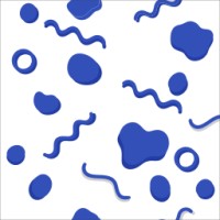 Indigo Performance
