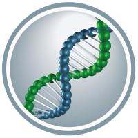 LABO Laboratório logo - Similar company to Ibr Hospital