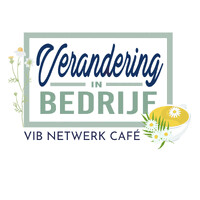 VIB Netwerk Café logo - Similar company to Fusionstudios | Webdesign & Branding Bureau