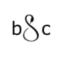 Black Swan Consulting GmbH logo - Similar company to Black Door Technology
