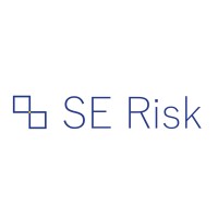 SE Risk Ltd logo - Similar company to Budd Law Pllc
