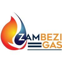 Zambezi Bulk Gas And Oil logo - Similar company to Pan African Mining Corp.