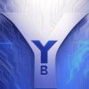YBY logo - Similar company to Digitize It Services