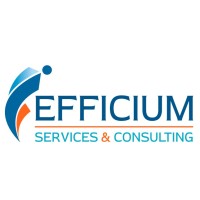 Efficium Services & Consulting logo - Similar company to Planetcom Sarl