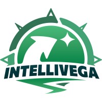Intellivega logo - Similar company to Icodeai