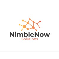 NimbleNow Solutions logo - Similar company to International Technology Ventures, Inc.