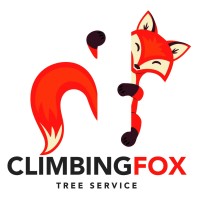 Climbing Fox Tree Service logo - Similar company to Tree Amigos Landscaping Inc