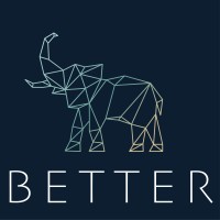 betterorgs.com logo - Similar company to Distill Tribe