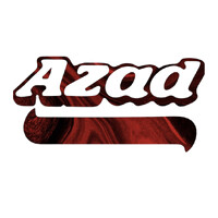 AZAD FOODS logo - Similar company to Parekh Spice