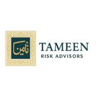 Tameen Risk Advisors logo - Similar company to Threshub