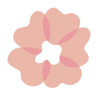 Anika's Scrunchies logo - Similar company to Scrunchie Is Back