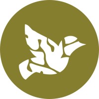 Cardova logo - Similar company to Luxflat