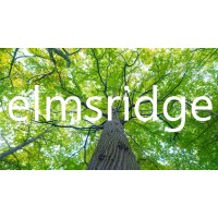 Elmsridge logo - Similar company to Deepmine