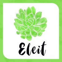 Eleit logo - Similar company to Parnerus