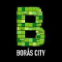 Borås City logo - Similar company to Cassise
