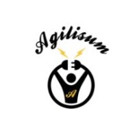 Agilisum logo - Similar company to Agilisium Consulting