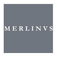 Merlinus Limited logo - Similar company to Ginlo.Net Gmbh