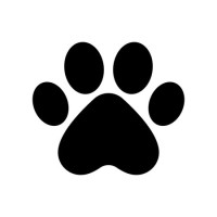 Trefa logo - Similar company to Condorcode