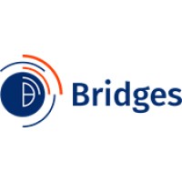 Bridges Air Cargo logo - Similar company to Aliplan