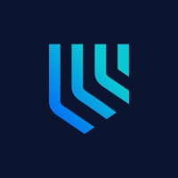 ALV Networks logo - Similar company to Be Wolf