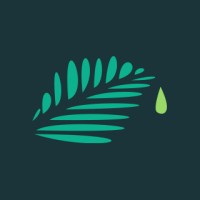 Oasis Infusions logo - Similar company to Daytryp Health