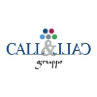 CALL & CALL Holding SpA logo - Similar company to Meglioquesto