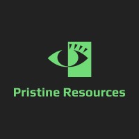 Pristine Resources logo - Similar company to Pristine Resource Llc