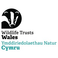 Wildlife Trusts Wales logo - Similar company to Dai Lingual